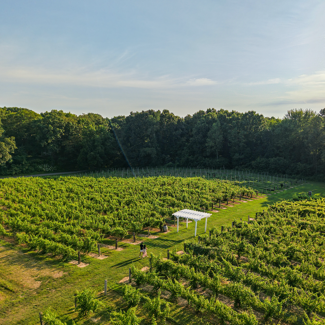 Farm to Tabor: Communal Dining Experience | Thursday, October 15